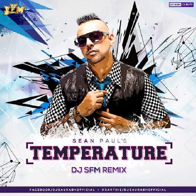 Sean Paul - Temperature - Dj SFM Remix
